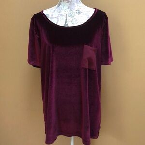 Silence & Noise Red Velvet Large Blouse